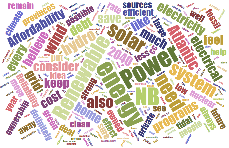 Word cloud based on statements from participants after the energy 'crash course' and before deliberation.