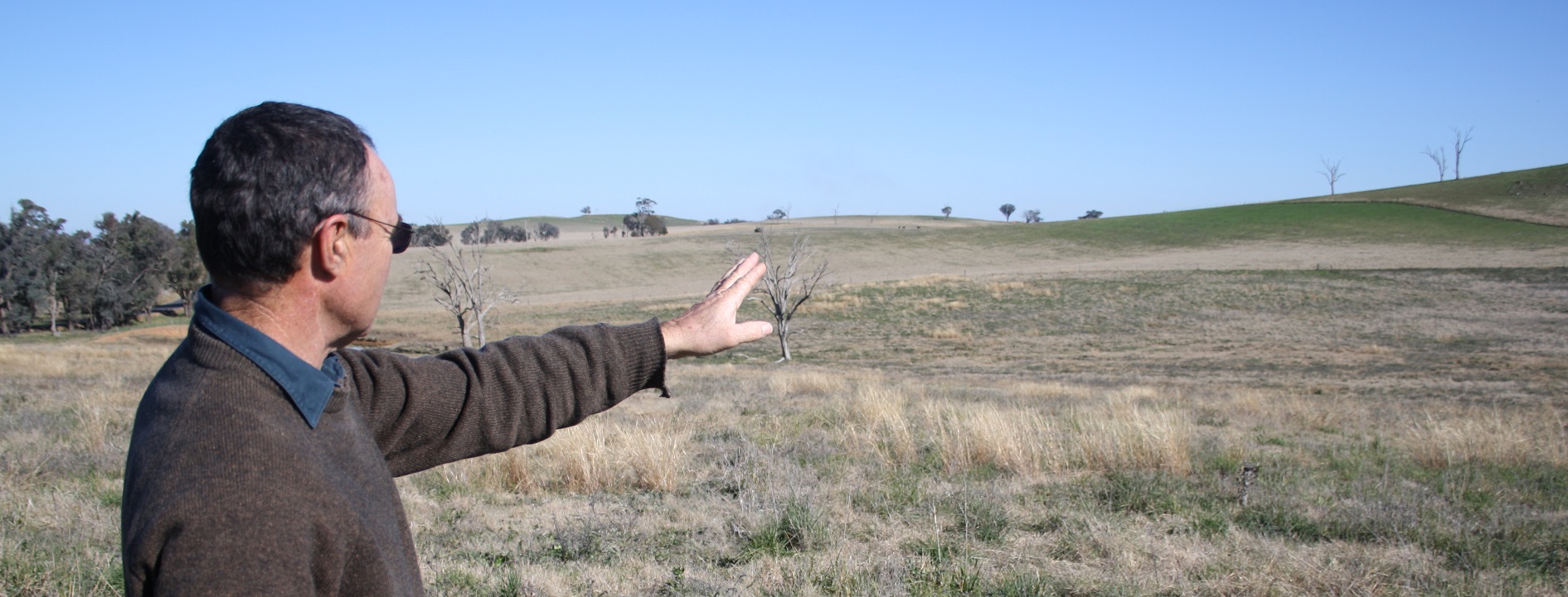 Australian grazier Gary Johnson, appraising tree decline on his farm, 2010.