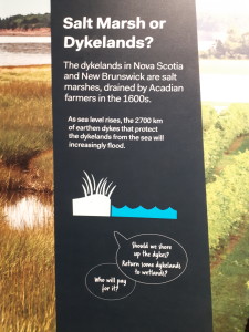 Salt marsh or dykes?