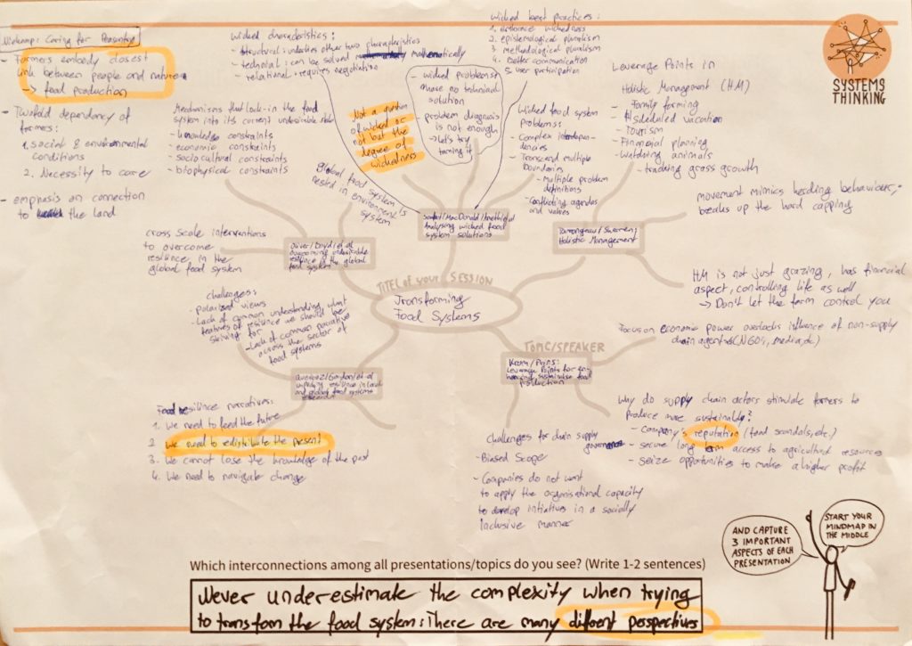Graphic mind map of our session at Leverage Points 2019. 