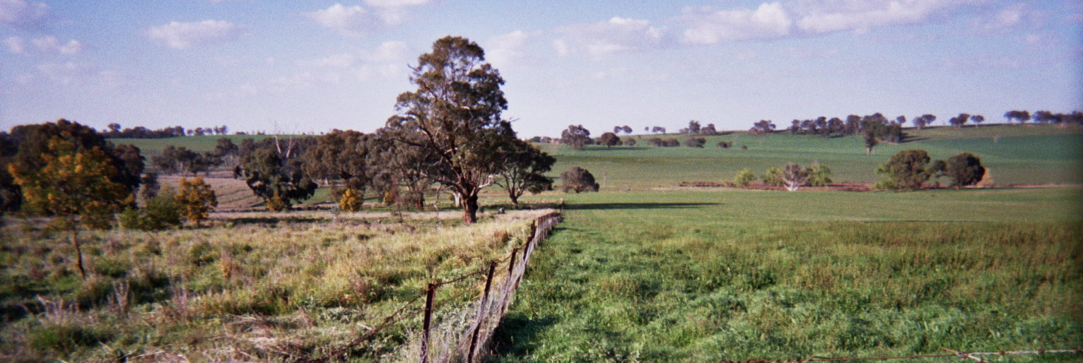 Archetypal land sharing in the Australian southeastern grazing landscape, thanks to HM